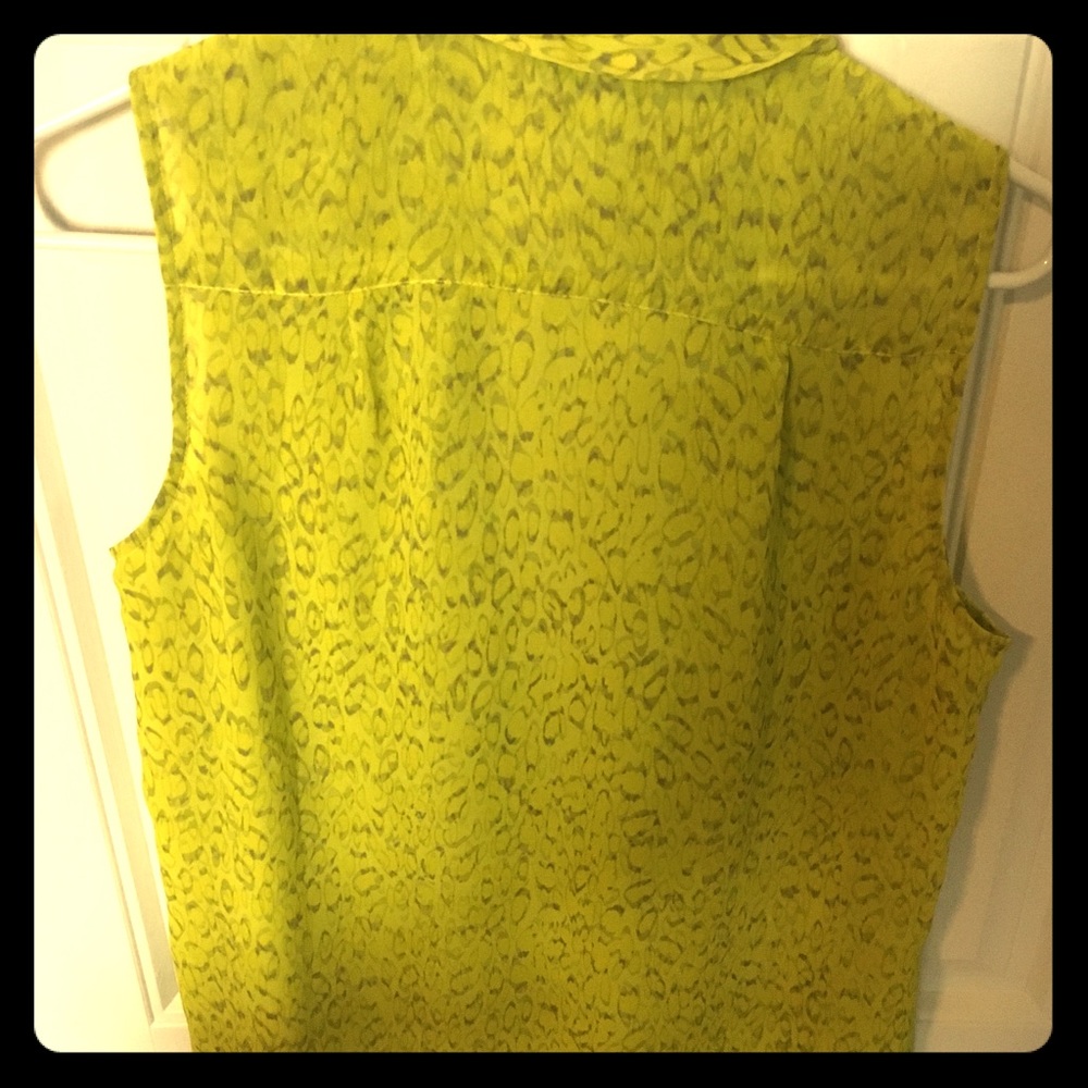 Sleeves Blouse